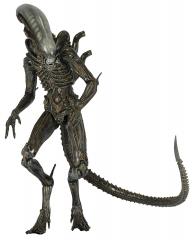 Isolation Xenomorph