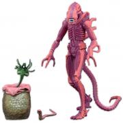 Xenomorph Warror 7" Figure (8-bit)