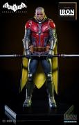 Robin 1/10 Art Scale Statue (exclusive)
