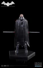 Robin 1/10 Art Scale Statue