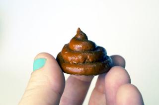 Poo Magnets