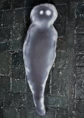 Humanity Phantom Body Pillow
