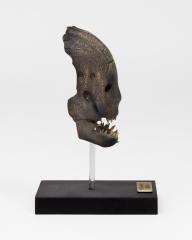 Trapper Mask 1:2 Scale Replica
