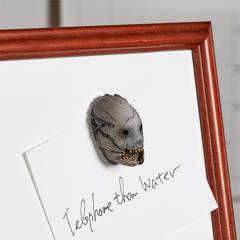 Trapper Mask Magnet