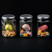Cryptobiosis Set