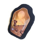 BB Cushion