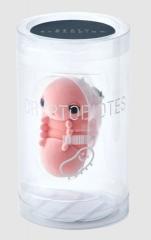 Cryptobiotes Key Chain Accessory