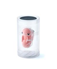 Cryptobiotes Key Chain Accessory