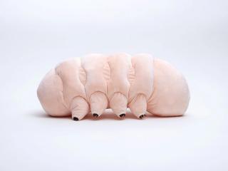 Stuffed Cryptobiote Plush