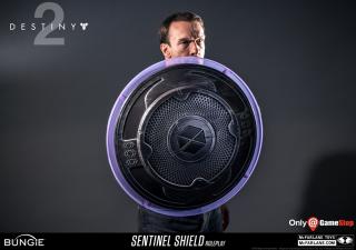 Titan Sentinel Shield Replica (exclusive)