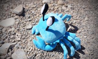 Crabbit Plush