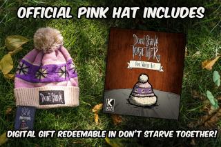 Winter Hat (Don't Starve Patch / Pink)