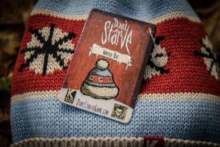 Winter Hat (Klei Patch / Blue)