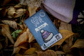 Winter Hat (Klei Patch / Pink)