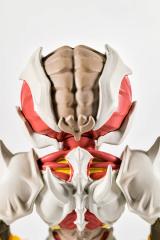 Mini Archvile 3.35" Statue
