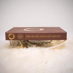 Hero's Guides to The Elder Scrolls Online