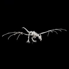 Dovah Skeletal Dragon Kit