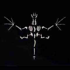 Dovah Skeletal Dragon Kit