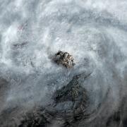 Dragon Shout (Art Print)