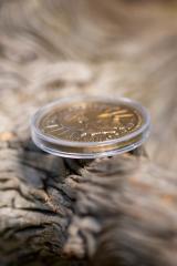 Septim Coin (Skyrim)