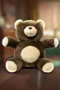 Teddy Fear Plush