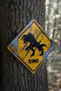 Deathclaw Crossing Metal Sign