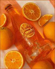 Nuka Cola Orange Rocket Bottle Edition