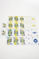 Vault-Tec CHIPS Poker Set