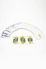 Vault-Tec Poker Starter Set