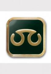 Scholar Job Icon Pin