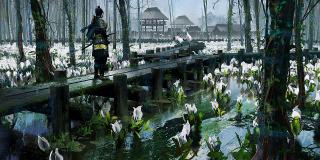 White Flowers (Art Print)