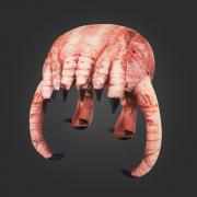 Headcrab Hat (skin texture)