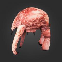 Headcrab Hat (skin texture)