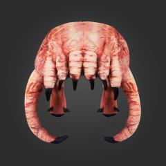 Headcrab Hat (skin texture)