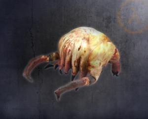 Headcrab Plush (skin texture)