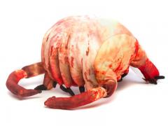 Headcrab Plush (skin texture)