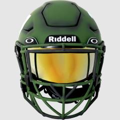Halo Riddell Helmet