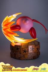 Fighter Kirby (exclusive)