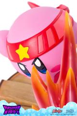 Fighter Kirby