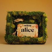 Last of Us Brain Storm Chocolate (collector's set)