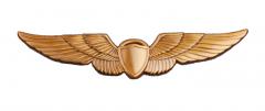 Pilot Wing Pin