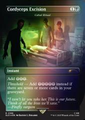 Secret Lair x The Last of Us Part I