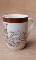Joel's Owl Mug