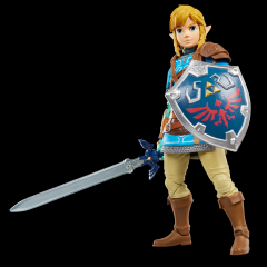 Link 6" Figure