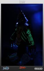 Zant