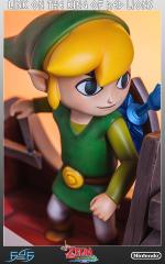 Link on the King of Red Lions