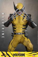 Wolverine 1/6 Scale Figure (deluxe)