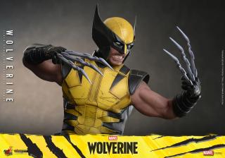 Wolverine 1/6 Scale Figure (deluxe)