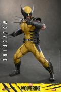 Wolverine 1/6 Scale Figure