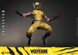 Wolverine 1/6 Scale Figure